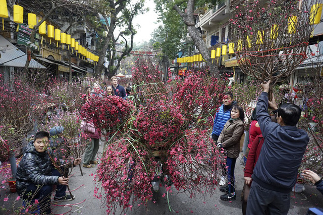 Chợ hoa khu phố H&agrave;ng Lược đỏ rực sắc đ&agrave;o những ng&agrave;y cận Tết. Người b&aacute;n đ&ocirc;ng, kh&aacute;ch tham quan, mua sắm lại c&agrave;ng đ&ocirc;ng, trong khi những chuyến xe chở hoa nối đu&ocirc;i nhau đổ về chợ.