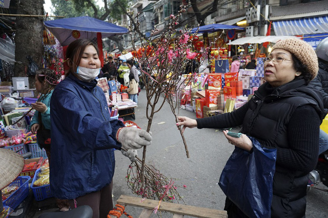 Những c&agrave;nh đ&agrave;o nhỏ được người d&acirc;n lựa chọn kh&aacute; nhiều v&igrave; d&aacute;ng xinh xắn vừa vặn khi đặt l&ecirc;n ban thờ hoặc b&agrave;n nước tiếp kh&aacute;ch, gi&aacute; khoảng 50-70 ngh&igrave;n đồng/c&agrave;nh.