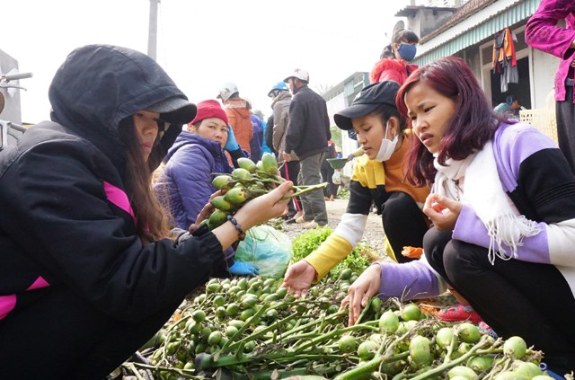 Trầu cau l&agrave; m&oacute;n h&agrave;ng kh&ocirc;ng thể thiếu trong mỗi gia đ&igrave;nh v&ugrave;ng n&ocirc;ng th&ocirc;n. Đĩa cau trầu vừa b&agrave;y biện tr&ecirc;n b&agrave;n thờ gia ti&ecirc;n, vừa l&agrave; m&oacute;n qu&agrave; mời kh&aacute;ch đến chơi nh&agrave; ng&agrave;y Tết
