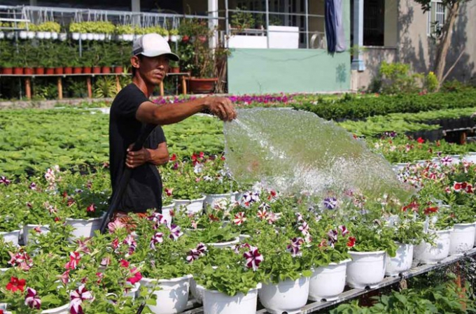 Điểm độc đ&aacute;o ở l&agrave;ng hoa Sa Đ&eacute;c l&agrave; hoa được trồng tr&ecirc;n gi&agrave;n cao, ph&iacute;a dưới l&agrave; nước từ rạch chảy v&agrave;o. Người trồng hoa v&igrave; thế phải ch&egrave;o thuyền hoặc đi dưới nước để chăm s&oacute;c v&agrave; thu hoạch hoa thay v&igrave; đi lại tr&ecirc;n đất như những nơi kh&aacute;c.