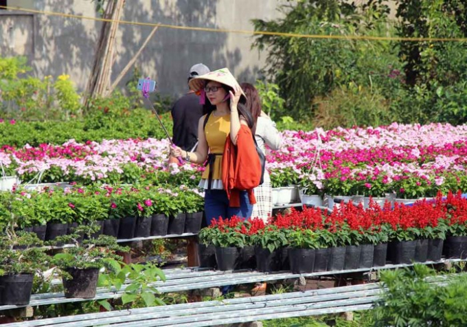 L&agrave;ng hoa 'vạn người m&ecirc;' đ&ocirc;ng nghẹt ng&agrave;y cận Tết