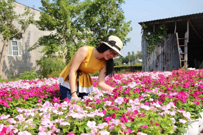 L&agrave;ng hoa 'vạn người m&ecirc;' đ&ocirc;ng nghẹt ng&agrave;y cận Tết