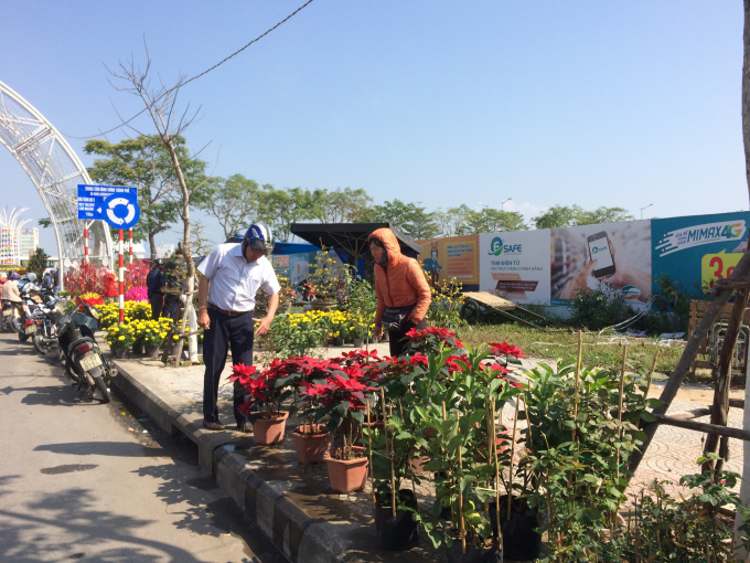 Những ng&agrave;y cuối năm, Đ&agrave; Nẵng nắng đẹp, kh&aacute;c xa h&igrave;nh ảnh gi&aacute; lạnh mấy ng&agrave;y trước đ&oacute;. Người d&acirc;n cũng tranh thủ đi ngắm hoa, mua hoa chuẩn bị cho năm mới.
