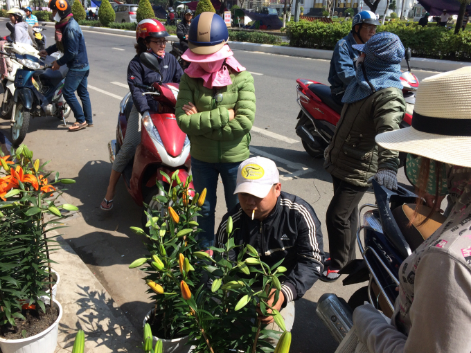 C&aacute;c điểm b&aacute;n hoa đ&ocirc;ng đảo người mua, ngắm hoa nhất trục đường 2/9, khu vực ch&acirc;n cầu Rồng...