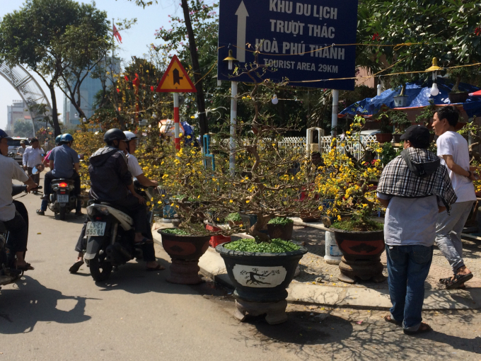 Chợ hoa xu&acirc;n đ&ocirc;ng đảo người b&aacute;n, người mua.