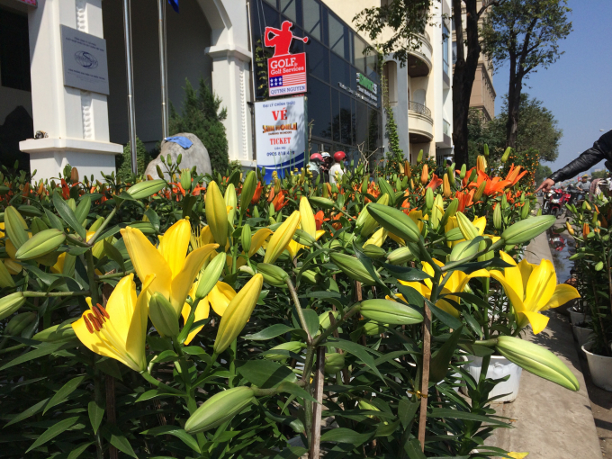 Ngắm hoa, mua hoa l&agrave; th&oacute;i quen của người d&acirc;n trong ng&agrave;y&nbsp;cuối năm.