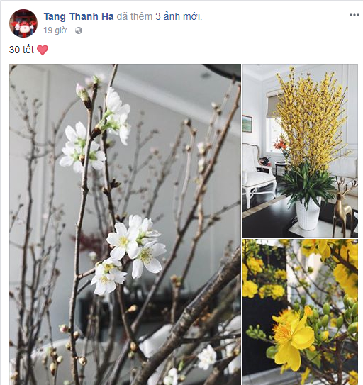 Tăng Thanh H&agrave; khoe kh&ocirc;ng gian Tết tr&agrave;n ngập hương sắc hoa mai.&nbsp;
