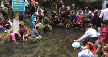Thanh Hóa: Mướt mồ hôi chen chân đi xem "cá thần"