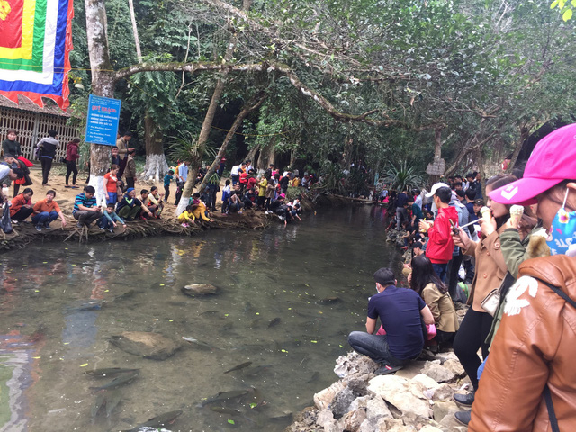 Ph&iacute;a ngo&agrave;i suối c&aacute; đ&atilde; k&iacute;n người...