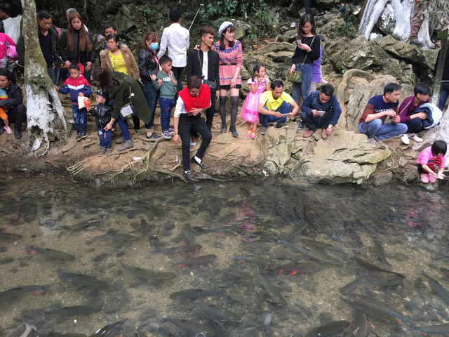 Thanh H&oacute;a: Mướt mồ h&ocirc;i chen ch&acirc;n đi xem