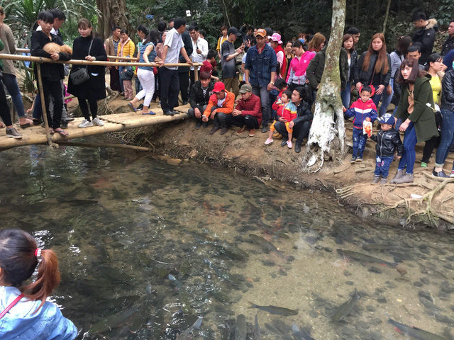 Thanh H&oacute;a: Mướt mồ h&ocirc;i chen ch&acirc;n đi xem