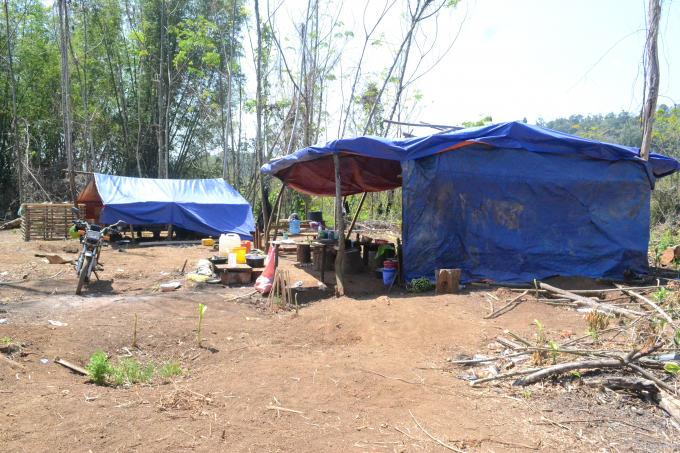 &nbsp;Nhiều l&aacute;n trại được dựng tại khu vực ph&aacute; rừng ở tiểu khu 1680.
