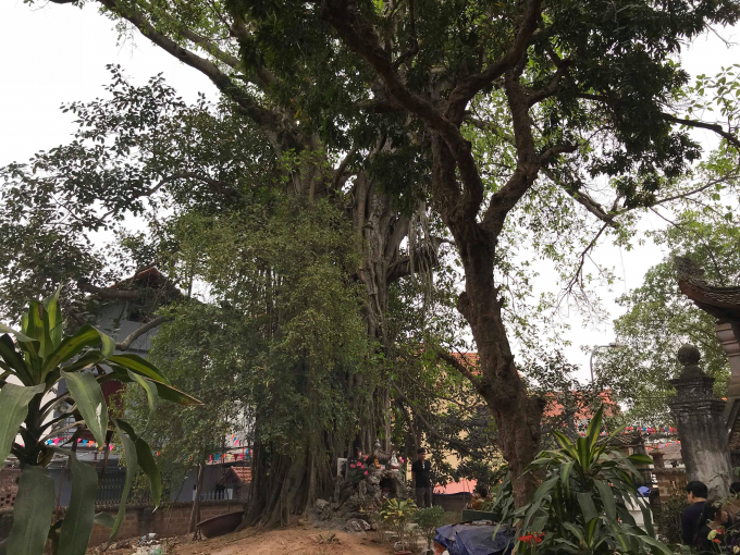 Th&aacute;p Cửu phẩm Li&ecirc;n Hoa ở Ch&ugrave;a M&iacute;a