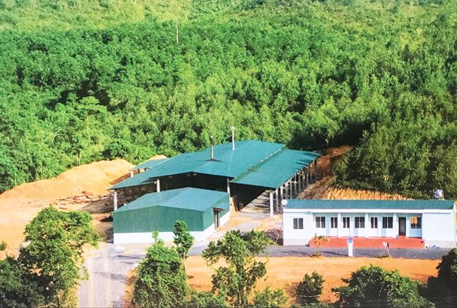 Nh&agrave; m&aacute;y của Huy đặt ở nơi heo h&uacute;t, để bớt vất vả cho người d&acirc;n.