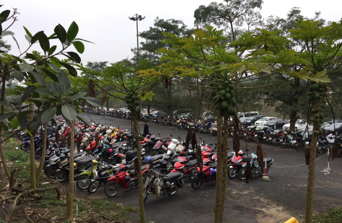 C&aacute;c b&atilde;i xe đều trong t&igrave;nh trạng chật cứng.