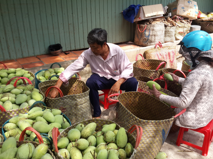 N&ocirc;ng sản xuất khẩu tăng trưởng mạnh nhưng lại phải