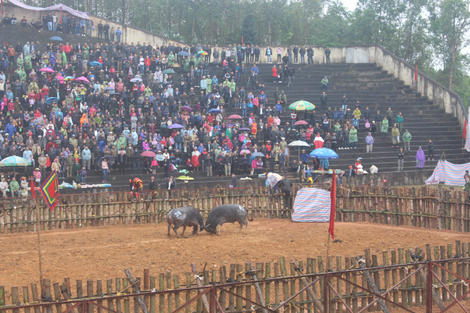 Hội chọi tr&acirc;u Ph&ugrave; Ninh 2018 thu h&uacute;t h&agrave;ng ngh&igrave;n du kh&aacute;ch tham dự.