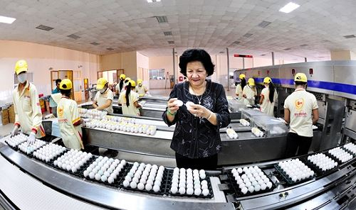 VOF dự kiến r&oacute;t th&ecirc;m vốn trong 12 th&aacute;ng tới nếu Ba Hu&acirc;n ho&agrave;n th&agrave;nh những mốc quan trọng đ&atilde; thoả thuận trước đ&oacute;.