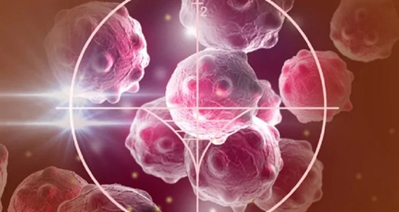 Giới khoa học nhận thấy nếu đồng hồ sinh học của c&aacute;c tế b&agrave;o ung thư bị rối loạn, ch&uacute;ng c&oacute; thể bị tổn thương v&agrave; thậm ch&iacute; bị ti&ecirc;u diệt