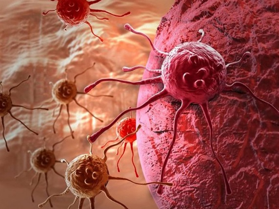 C&aacute;c nh&agrave; khoa học đ&atilde; t&igrave;m ra một ph&acirc;n tử c&oacute; t&ecirc;n GO289, c&oacute; thể ph&aacute; vỡ chức năng của 4 loại protein vốn đ&oacute;ng vai tr&ograve; quan trọng gi&uacute;p tế b&agrave;o ung thư sinh trưởng v&agrave; tồn tại