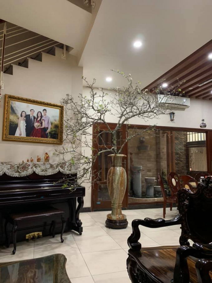 C&acirc;y mận n&agrave;y c&oacute; gi&aacute; cả chục triệu đồng, được gia chủ mua về trưngTết.