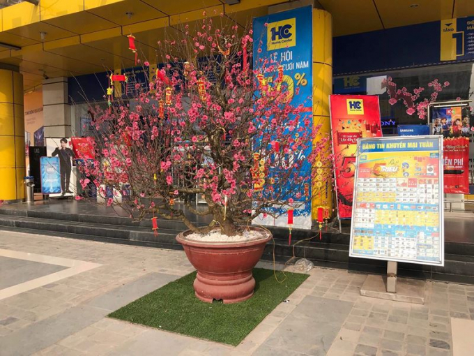 Bồi hồi cảnh sắc H&agrave; Nội những ng&agrave;y gi&aacute;p Tết