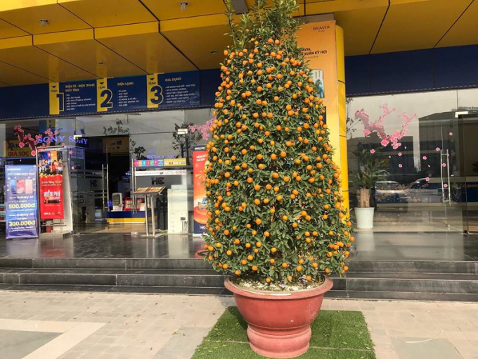 Bồi hồi cảnh sắc H&agrave; Nội những ng&agrave;y gi&aacute;p Tết