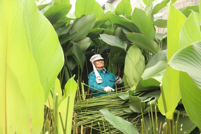 Ảnh D&acirc;n Tr&iacute;