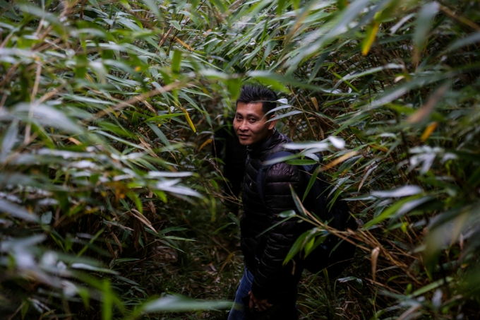 Theo Chiến, từ sau năm 2016, khi c&aacute;p treo ch&iacute;nh thức được vận h&agrave;nh, to&agrave;n bộ tuyến đường rừng trước kia được sử dụng để thi c&ocirc;ng đ&atilde; ho&agrave;n to&agrave;n bị &ldquo;đ&oacute;ng&rdquo;.