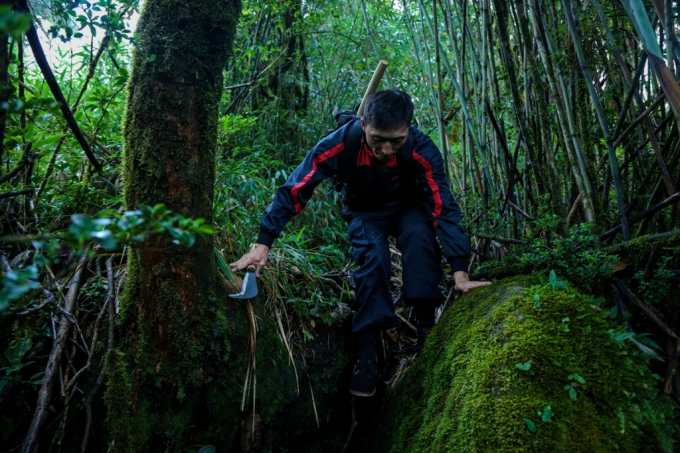 M&aacute; A T&ocirc;ng, người d&acirc;n tộc M&ocirc;ng Sa Pả, cao tới gần một m&eacute;t t&aacute;m, l&ecirc;nh kh&ecirc;nh c&otilde;ng tr&ecirc;n lưng chiếc balo bộ đội cũ sờn, tay cầm quắm ph&aacute;t c&acirc;y rảo bước dẫn cả đo&agrave;n người tiến tới.