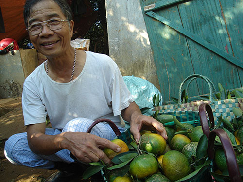 &Ocirc;ng Tạ Đ&igrave;nh Đ&agrave;o - một trong những người đầu ti&ecirc;n&nbsp;trồng cam ở Cao Phong.&nbsp; ảnh: Xu&acirc;n Tuấn