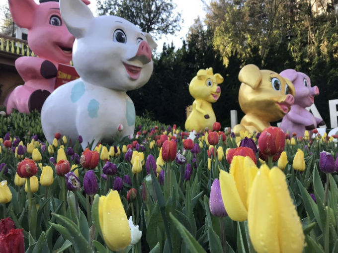 Cứ v&agrave;o tiết xu&acirc;n, B&agrave; N&agrave; như một thiếu nữ căng tr&agrave;n nhựa sống với mu&ocirc;n hoa đua nở. Du kh&aacute;ch c&ograve;n chưa th&ocirc;i vấn v&iacute;t với những b&ocirc;ng đ&agrave;o chu&ocirc;ng quyến rũ v&agrave; độc lạ c&ugrave;ng nhau bật sắc những ng&agrave;y đầu xu&acirc;n, đ&atilde; lại đắm say với khung cảnh l&atilde;ng mạn, n&ecirc;n thơ với những tiểu cảnh xinh xắn được khu du lịch tạo dựng cho những ng&agrave;y năm mới.&nbsp;