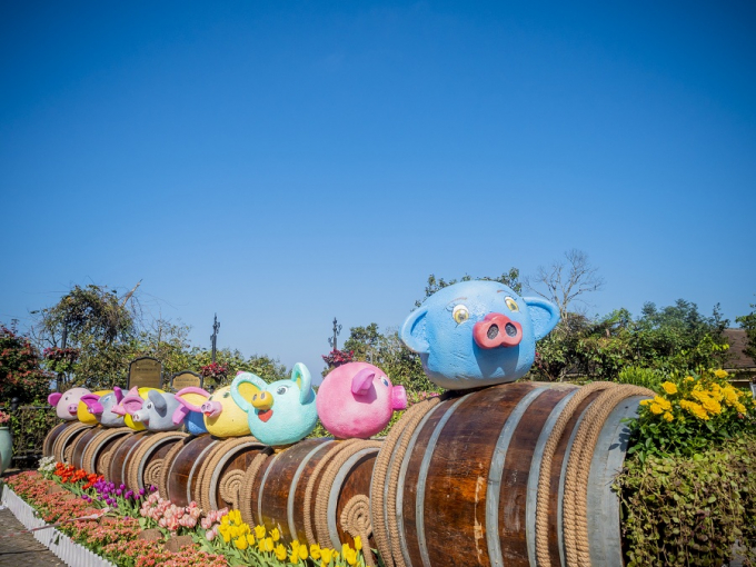 Những b&ocirc;ng hoa tulip với đủ sắc m&agrave;u ki&ecirc;u sa vươn m&igrave;nh trong nắng sớm ban mai, xen lẫn trong sắc xanh của t&aacute;n l&aacute;, tựa như một bản nhạc tươi vui ch&agrave;o đ&oacute;n tất cả du kh&aacute;ch đến với chốn vốn được mệnh danh l&agrave; ti&ecirc;n cảnh n&agrave;y.&nbsp;