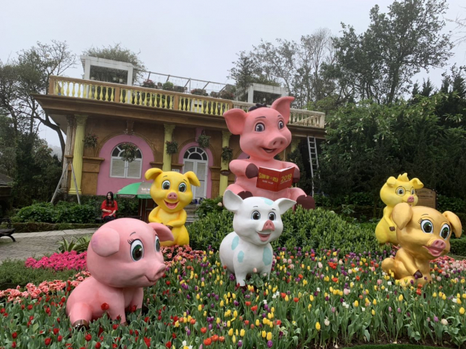 Ngắm gia đ&igrave;nh heo ngộ nghĩnh, thấy một năm mới thật nhiều niềm vui, th&acirc;n thương, ấm &aacute;p hạnh ph&uacute;c.