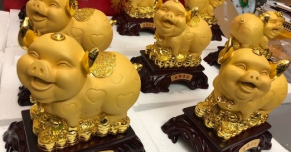 Năm Kỷ Hợi bàn về chuyện những chú lợn