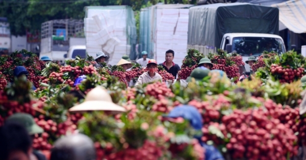 Tăng trưởng kinh tế cao nhất lịch sử tỉnh Bắc Giang