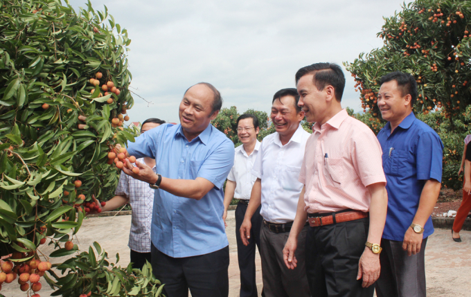 &Ocirc;ng Nguyễn Văn Linh - Chủ tịch UBND tỉnh Bắc Giang (&aacute;o xanh b&ecirc;n tr&aacute;i)
