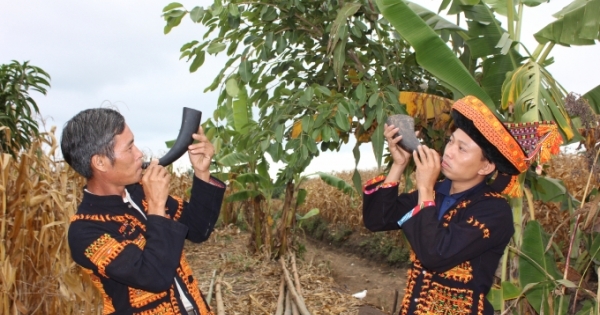 Tiếng Tù và chào mừng năm mới của người M’Nông