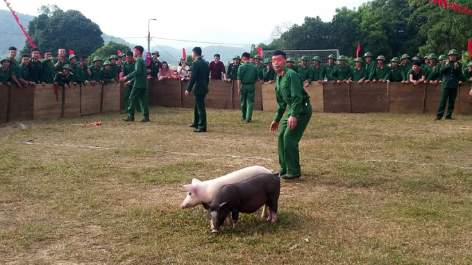 Mùa xuân biên cương, mùa xuân hải đảo