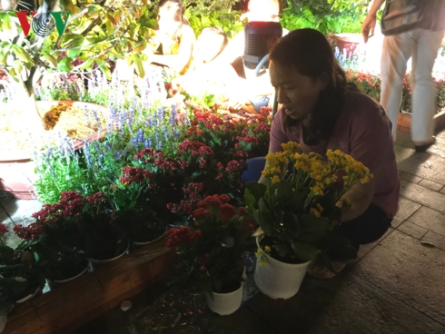 Nhiều người d&acirc;n tranh thủ bưng những chậu hoa ưng &yacute; về trước khi bị thu dọn.