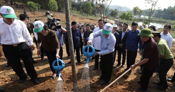 Cho Đất Việt mãi mãi xanh tươi, đời đời bền vững