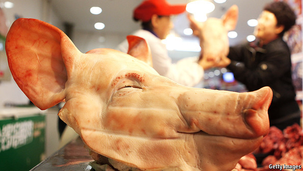 Điềm b&aacute;o Kỷ Hợi: H&agrave;ng triệu con lợn bị ti&ecirc;u huỷ