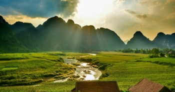 Quảng Bình: ‘Kim cương xanh’ hé sáng