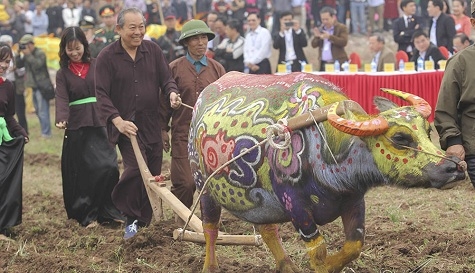 Phó Thủ tướng Trương Hòa Bình xuống đồng cày Tịch điền