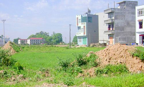 Thủ tướng đồng &yacute; cho UBND tỉnh Th&aacute;i Nguy&ecirc;n chuyển đổi 15,7 ha đất trồng l&uacute;a để l&agrave;m dự &aacute;n. Ảnh minh họa.