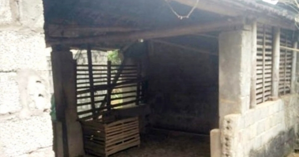 Trưởng công an xã chết trong tư thế treo cổ