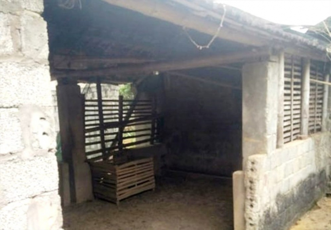 Khu vực chuồng tr&acirc;u, nơi ph&aacute;t hiện &ocirc;ng Sơn treo cổ tự tử.