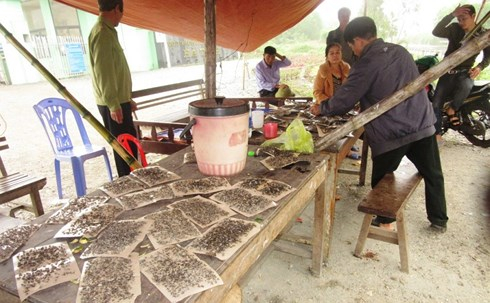 Chỉ sau cuộc gặp với B&iacute; thư Tỉnh ủy L&ecirc; Đ&igrave;nh Sơn th&igrave; sự việc d&acirc;n mang ruồi, b&agrave;n ghế dựng rạp chặn cổng nh&agrave; m&aacute;y r&aacute;c mới được th&aacute;o gỡ..