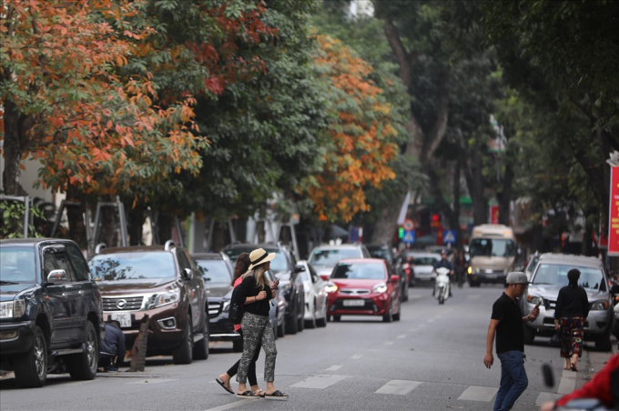 H&agrave; Nội đẹp đến nao l&ograve;ng m&ugrave;a c&acirc;y thay l&aacute;