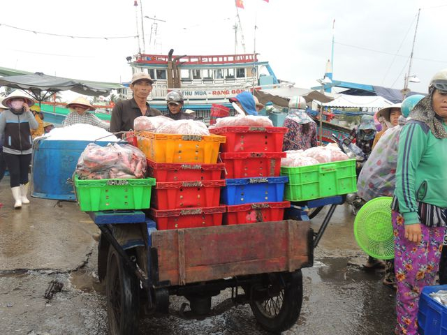 Từ đ&acirc;y, c&aacute; về c&aacute;c chợ.&nbsp;